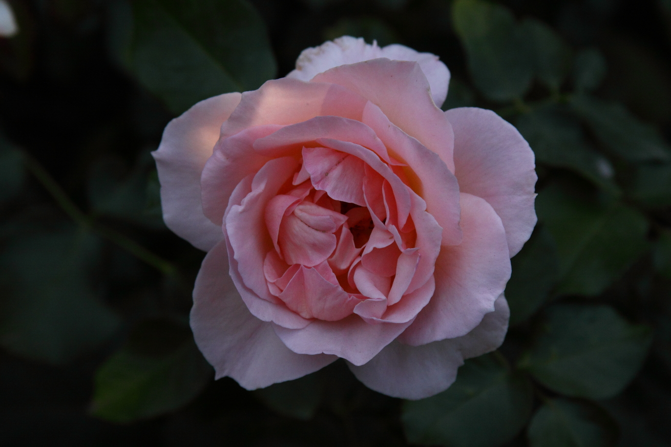 2015 09 26 HTP 9999 227